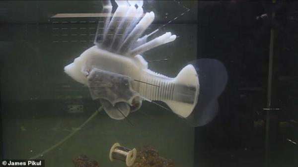 ماهی رباتیک,اخبار علمی,خبرهای علمی,اختراعات و پژوهش