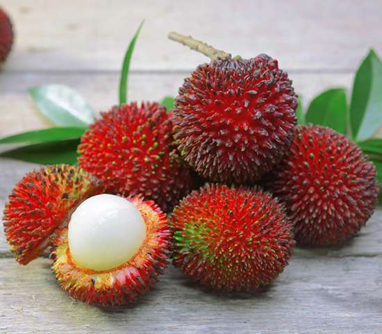 میوه‌های عجیب و هیجان انگیز آسیا,اخبار جالب,خبرهای جالب,خواندنی ها و دیدنی ها