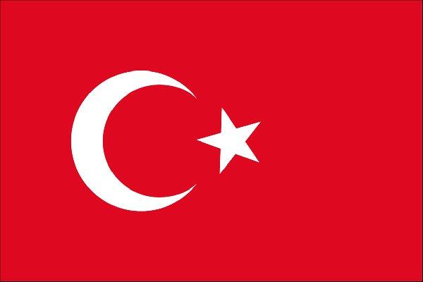 ترکیه,اخبار حوادث,خبرهای حوادث,حوادث