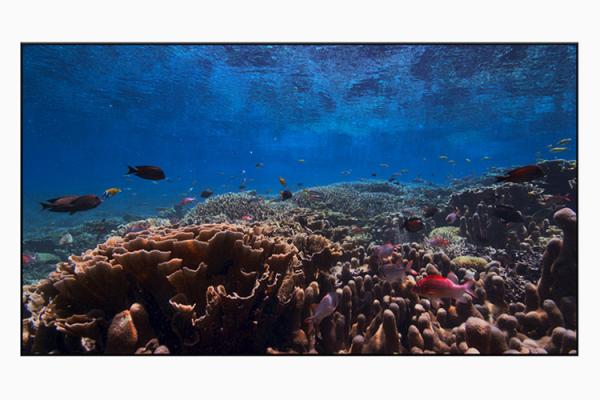 سیستم‌عامل tvOS 13,اخبار دیجیتال,خبرهای دیجیتال,شبکه های اجتماعی و اپلیکیشن ها