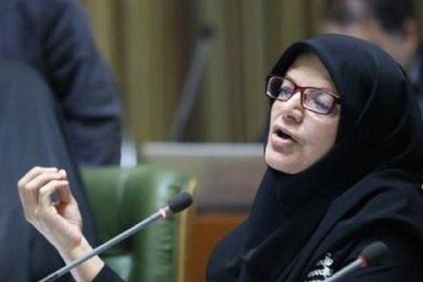 افزایش مو شها در تهران و راهکارهای شورای شهر,اخبار اجتماعی,خبرهای اجتماعی,شهر و روستا