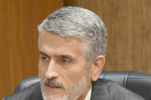 افزایش مو شها در تهران و راهکارهای شورای شهر,اخبار اجتماعی,خبرهای اجتماعی,شهر و روستا