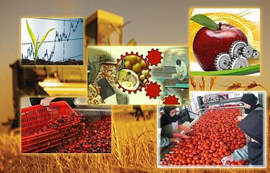 آخرین وضعیت وام های اشتغالزایی روستایی,اخبار اشتغال و تعاون,خبرهای اشتغال و تعاون,اشتغال و تعاون