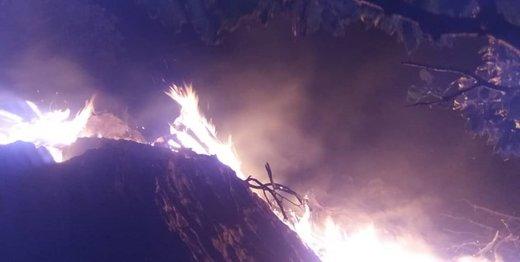 کوه الوند بهمئی,اخبار حوادث,خبرهای حوادث,حوادث امروز