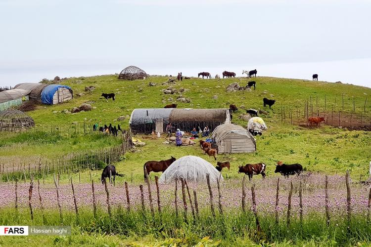 تصاویر مناظر زیبای کوه هاچاقیه,عکس های طبیعت زیبای شهر چوبر,عکس های مناظر زیبای استان گیلان