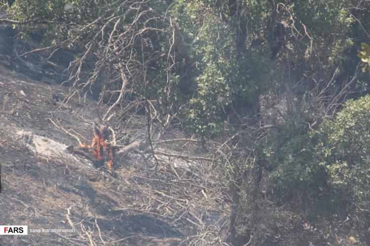 تصاویر آتش سوزی جنگل‌های بخش چوار,عکس های آتش سوزی جنگل های زاگرس,تصاویر حوادث طبیعی