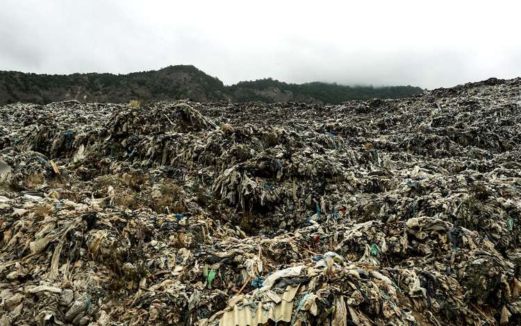 تصاویر زباله در جنگل‌های مازندران,عکس های زباله در جنگل‌های مازندران,تصاویر جنگل‌های مازندران