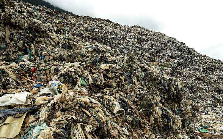 تصاویر زباله در جنگل‌های مازندران,عکس های زباله در جنگل‌های مازندران,تصاویر جنگل‌های مازندران