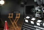شورای عالی اکران,اخبار فیلم و سینما,خبرهای فیلم و سینما,سینمای ایران