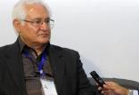 رضا باکری,اخبار اقتصادی,خبرهای اقتصادی,کشت و دام و صنعت
