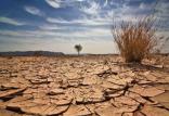 بیابان زدایی,اخبار اجتماعی,خبرهای اجتماعی,محیط زیست