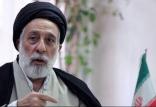 حجت الاسلام و المسلمین سیدهادی خامنه‌ای,اخبار سیاسی,خبرهای سیاسی,احزاب و شخصیتها