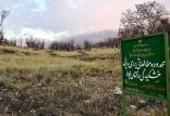 بیابان زایی در ایران,اخبار اجتماعی,خبرهای اجتماعی,محیط زیست