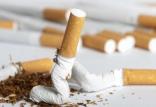 مضرات سیگار,اخبار پزشکی,خبرهای پزشکی,مشاوره پزشکی