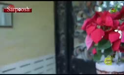 فیلم/ صحبتهای غم انگیز صدیقه کیانفر