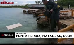 فیلم/ نقاشی روی بوم در اعماق دریا!