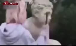 فیلم/ تخریب مجسمه ۲۰۰ ساله برای جمع کردن لایک در اینستاگرام!