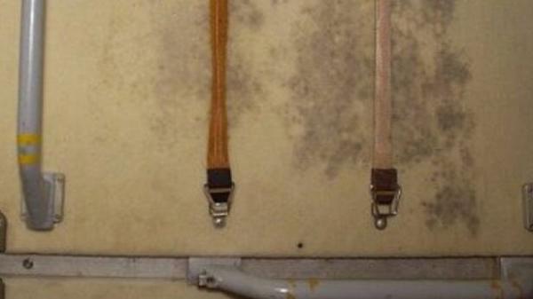 کپکهای ایستگاه فضایی کپکهای ایستگاه فضایی,اخبار علمی,خبرهای علمی,نجوم و فضا