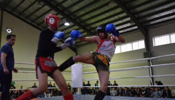 فدراسیون ورزشهای رزمی,اخبار ورزشی,خبرهای ورزشی,ورزش