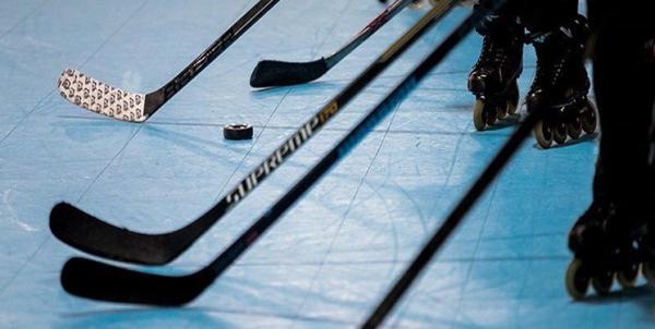 تیم اینلاین هاکی ایران,اخبار ورزشی,خبرهای ورزشی,ورزش