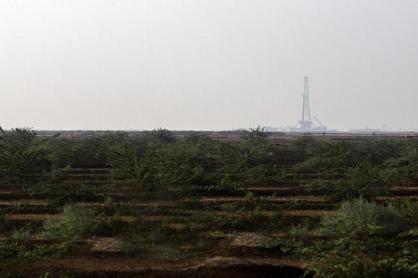 طبیعت ایران طبیعت ایران,اخبار علمی,خبرهای علمی,طبیعت و محیط زیست