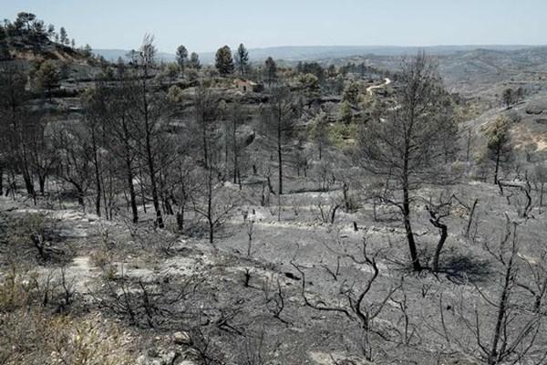 آتش‌سوزی گسترده دراسپانیا,اخبار حوادث,خبرهای حوادث,حوادث طبیعی