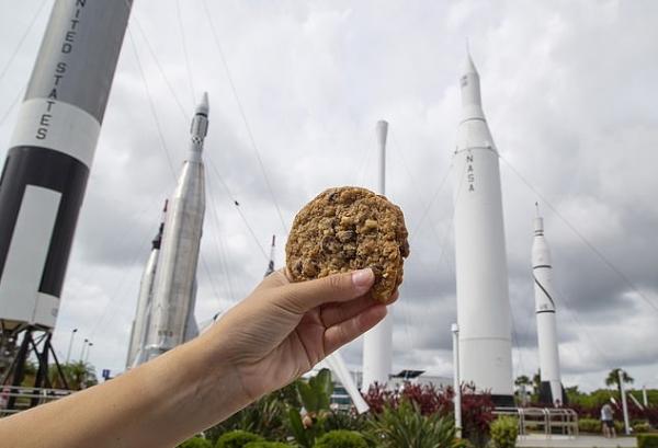 فضانوردان فضانوردان,اخبار علمی,خبرهای علمی,نجوم و فضا