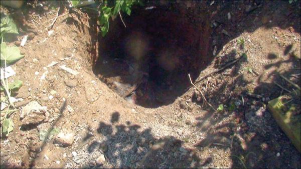 عامل قتل های سریالی عامل قتل های سریالی,اخبار حوادث,خبرهای حوادث,جرم و جنایت