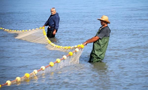 اخبار اقتصادی,خبرهای اقتصادی,اقتصاد کلان
