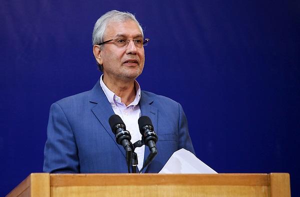 علی ربیعی,اخبار سیاسی,خبرهای سیاسی,دولت