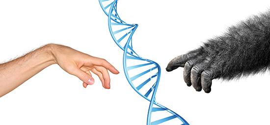 ساختار DNA,اخبار پزشکی,خبرهای پزشکی,بهداشت