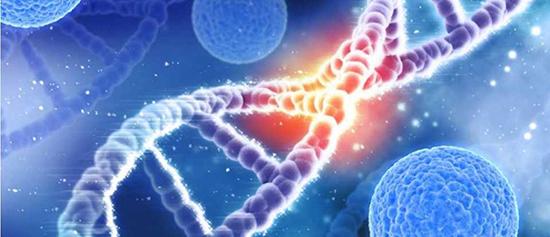 ساختار DNA,اخبار پزشکی,خبرهای پزشکی,بهداشت