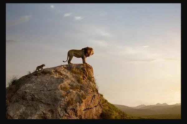 فیلم The Lion King,اخبار فیلم و سینما,خبرهای فیلم و سینما,اخبار سینمای جهان