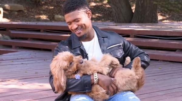 گران‌ترین حیوانات خانگی ستاره‌های هالیوود,اخبار هنرمندان,خبرهای هنرمندان,اخبار بازیگران