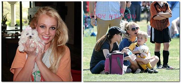 گران‌ترین حیوانات خانگی ستاره‌های هالیوود,اخبار هنرمندان,خبرهای هنرمندان,اخبار بازیگران