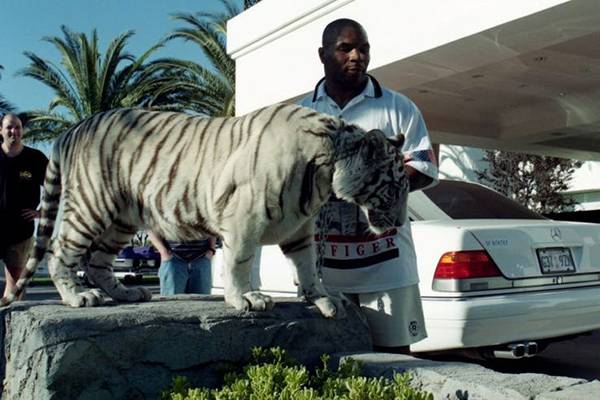 گران‌ترین حیوانات خانگی ستاره‌های هالیوود,اخبار هنرمندان,خبرهای هنرمندان,اخبار بازیگران