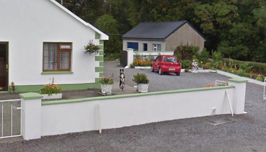 عکس های اتفاقی گوگل استریت ویو از حیوانات,اخبار جالب,خبرهای جالب,خواندنی ها و دیدنی ها