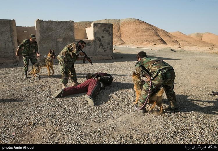 تصاویر مسابقه تیراندازی یگان ویژه فاتحین,عکس های تمرینات تیراندازی یگان ویژه فاتحین,تصاویر یگان ویژه فاتحین