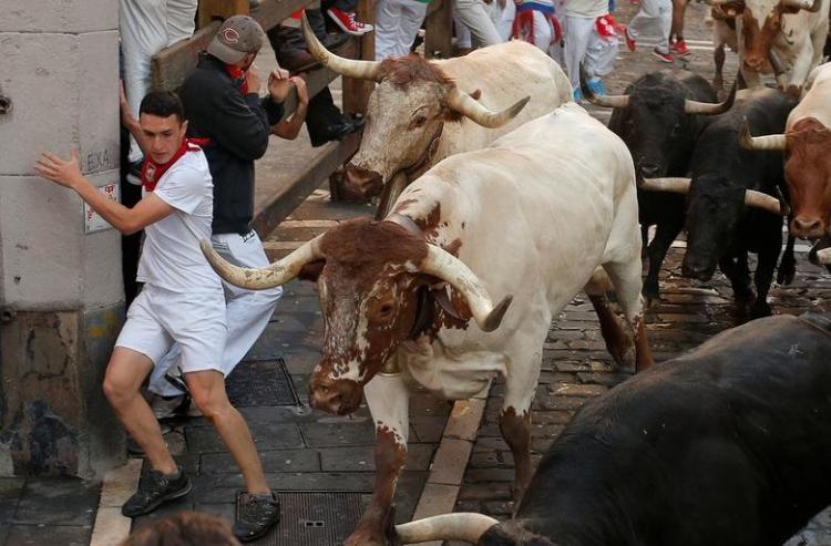 تصاویر جشن گاوبازی سرزمین ماتادورها,عکس های جشن گاوبازی سرزمین ماتادورها,تصاویر جشن گاوبازی