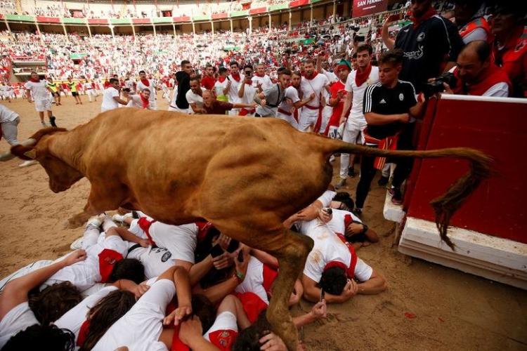 تصاویر جشن گاوبازی سرزمین ماتادورها,عکس های جشن گاوبازی سرزمین ماتادورها,تصاویر جشن گاوبازی