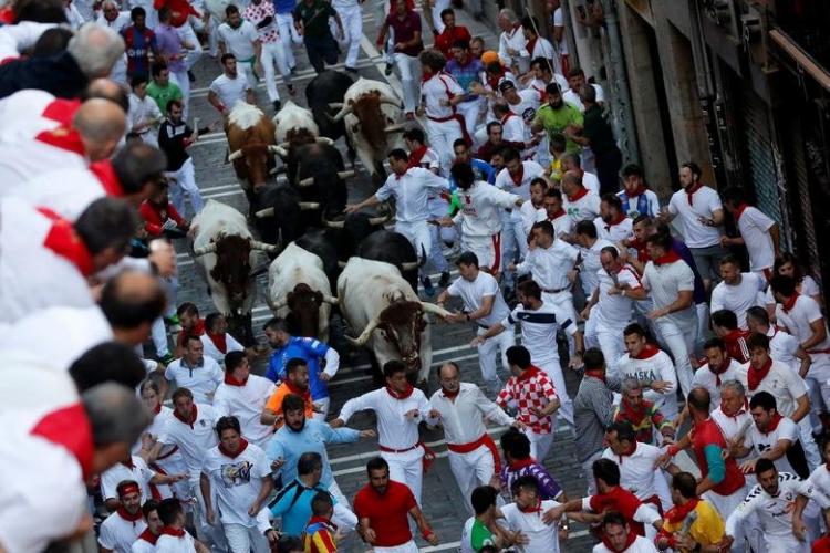 تصاویر جشن گاوبازی سرزمین ماتادورها,عکس های جشن گاوبازی سرزمین ماتادورها,تصاویر جشن گاوبازی