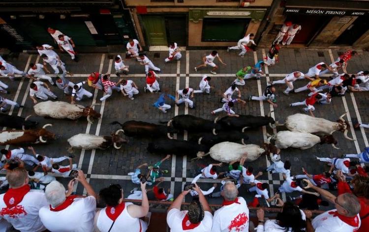 تصاویر جشن گاوبازی سرزمین ماتادورها,عکس های جشن گاوبازی سرزمین ماتادورها,تصاویر جشن گاوبازی