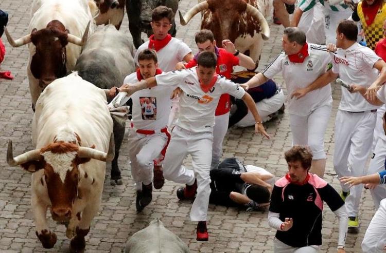 تصاویر جشن گاوبازی سرزمین ماتادورها,عکس های جشن گاوبازی سرزمین ماتادورها,تصاویر جشن گاوبازی