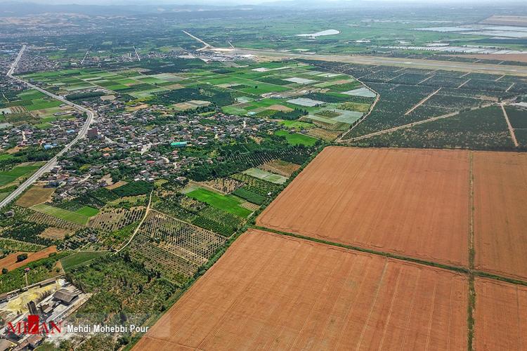 تصاویر برداشت گندم در مازندران,عکس های برداشت گندم,تصاویر مازندران