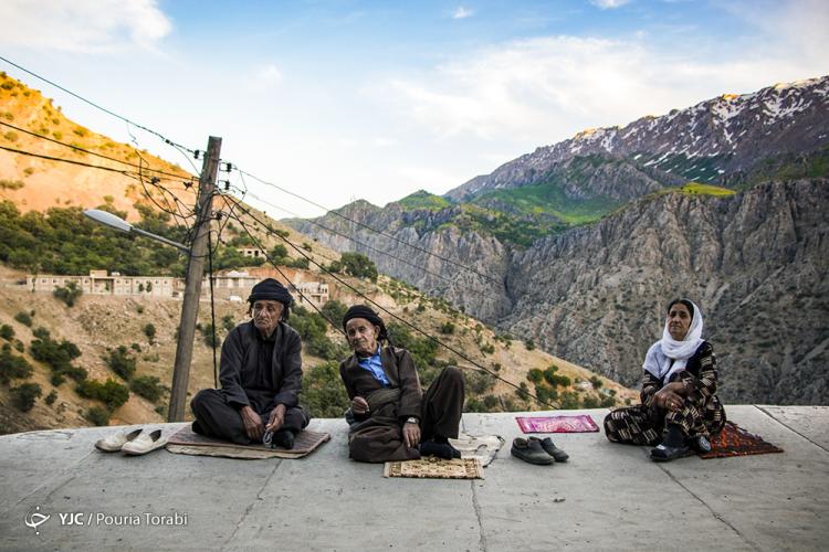 تصاویر دیدنی از کردستان,عکس های جالب از توت خشک های کردستان,تصاویر طبیعت استان کردستان