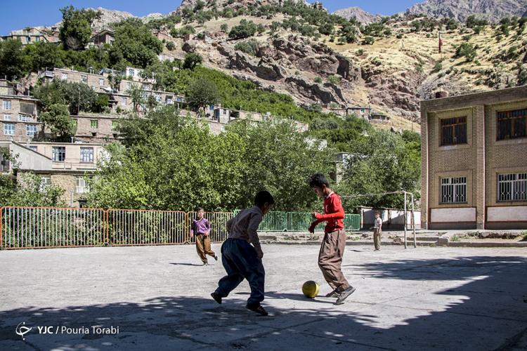 تصاویر دیدنی از کردستان,عکس های جالب از توت خشک های کردستان,تصاویر طبیعت استان کردستان