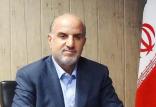 بهزاد محمدی,اخبار اقتصادی,خبرهای اقتصادی,نفت و انرژی