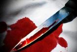 قتل برادر زن,اخبار حوادث,خبرهای حوادث,جرم و جنایت