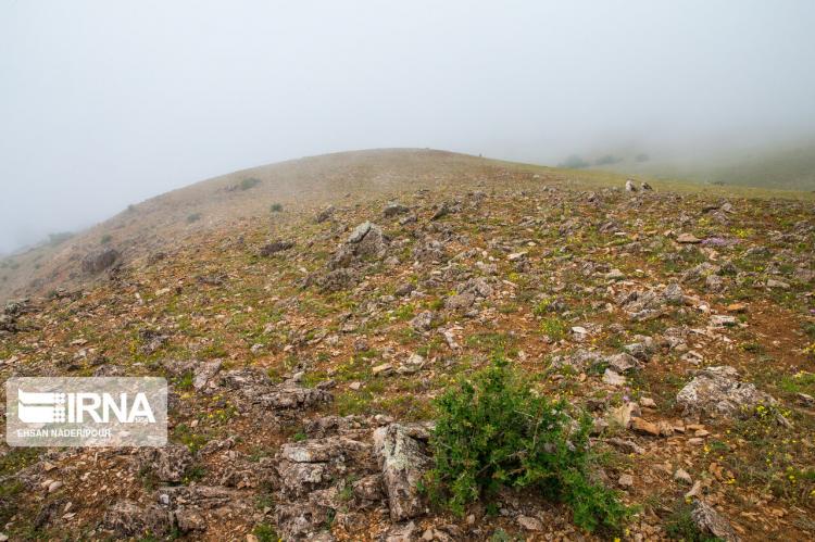 تصاویر روستای مازیچال,عکس های دیدنی های مازندران,تصاویر مازیچال در مازندران