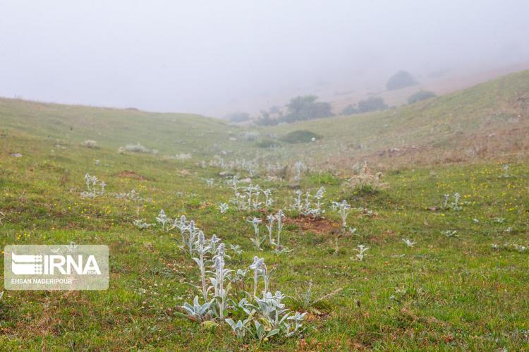 تصاویر روستای مازیچال,عکس های دیدنی های مازندران,تصاویر مازیچال در مازندران